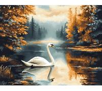 Henypt Cross Stitch Craft Set 40x50cm,White Swans in the Lake Stamped Design Needlework Kit,Wall Decor for Dining Room & Family Space