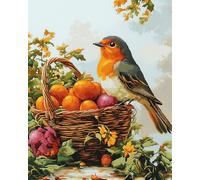Henypt DIY Bead Embroidery Kit 9Ct Robin Bird -Cross Stitch with Beads On Pre-Printed Fabric, Embroidery Set with Needle & Beads, Craft Kit for Adults & Beginners (No Frame)