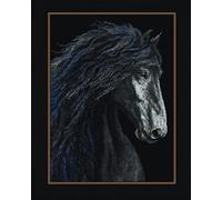Henypt DIY Bead Embroidery Kit Black Horse - 40X50Cm 9Ct Medium Cross Stitch with Beads, Pre-Printed Fabric, Needlework & Craft Set for Adults, Home Décor & Handmade Gift