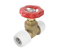 Hep2O 22mm Hot & Cold Brass Gate Valve