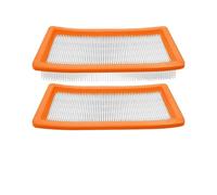 HEPA Filter Motor Protection Spare Parts, Compatible For Kärcher, DS 6 Premium BR 45/22 C Bp Pack DS 5600 Puzzi 30/4 E Vacuum Cleaner Replacement Parts(2 Pcs)