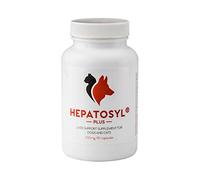Hepatosyl Liver Function Capsules 90 x 100mg