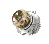 HEPU P547 Water pump