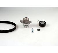 HEPU PK08460 Water Pump & Timing Belt Set for CITRO?N,PEUGEOT