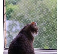 heqxwl Nylon Cat Protection Net for Balcony, No Drilling, Transparent, Can Be Cut to Size and Bite Resistant Balcony Nets for Cats for Securing Patio, Windows and Doors (3 x 4 m)