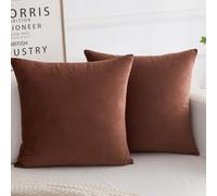 HERAYLI Velvet Decorative Throw Pillow Covers, Soft Square Cushion Case Home Decor for Living Room Couch Bed Sofa, Set of 2 Pack, Brown, 16x16 Inch