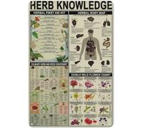 Herb Knowledge Metal Tin Signs Herbal First Aid Kit Infographic Poster Pharmacist Study Guide Tin Plaque Home Pharmacy Office Kitchen Wall Decor,Vintage Educational Wall Art Modern Gift 12x8 inch