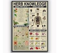 Herb Knowledge Metal Tin Signs Vintage Herbal First Aid Kit Infographic Wall Decor Poster Tin Plaque Pharmacist Study Guide Home Office Kitchen Garage Classroom School Diner 8x12 Inches