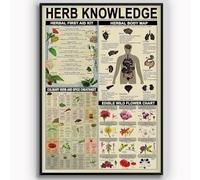 Herb Knowledge Metal Tin Signs Vintage Herbal First Aid Kit Infographic Wall Decor Poster Tin Plaque Pharmacist Study Guide Home Office Kitchen Garage Classroom School Diner 12x8 Inches