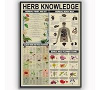 Herb Knowledge Metal Tin Signs Vintage Herbal First Aid Kit Infographic Wall Decor Poster Tin Plaque Pharmacist Study Guide Home Office Kitchen Garage Classroom School Diner 12x8 inches