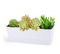 Herb Planter with Tray, Greaner 1 Pack 12x3.8 Inch Rectangle Window Box White, Indoor Succulent Flowers Plastic Pot for Windowsill , Garden, Balcony, Office Outdoor