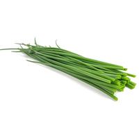 Herb Plants, Mixed Selection, Chives + Garlic Chives + Chervil, 3 x Full Plants in 9cm Pots, Herbs, Garden Ready, Indoor or Outdoor, Premium Quality Herbs