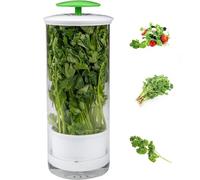 Herb Storage Saver, Clear Refrigerator Herb Keeper, Breathable Plastic Container Preserver for Fresh Asparagus, Coriander, Mint, Cilantro - Keeps Herbs Fresh for
