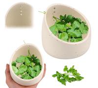 Herb Stripper, Pottery Herb Stripper Bowl, Ceramic Herb Stripper Bowl, Herb Stripper Bowl Ceramic, Handmade Different Round Hole Sizes, Kitchen Leaf Stripping Tools for Fresh Herbal Leafy Greens