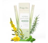 Herbal Diffuser Pen with Extracts of Mullein, Thyme and Mint for Lung Cleansing, Breathing Improvement, Oral Air Freshening and Quitting Bad Habit - 600 Uses (2 Packs, Green2)