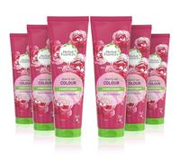 Herbal Essences IGNITE MY COLOUR Conditioner 275ml. Moisturises Coloured And Dyed Hair , Pack of 6