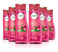 Herbal Essences Ignite My Colour Shampoo for Coloured Hair, 400 ml - Pack of 6