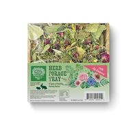 Herbal Forage Tray by Small Pet Select - Natural Treat with Grass, Parsley, Echinacea & Birch for Rabbits, Guinea Pigs & Other Small Pets