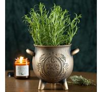 Herbal Magic Bronze Effect Terracotta Cauldron Plant Pot For Herbs & Witches