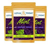 Herbal Mint Tea, Refreshing Blend of Spearmint, Peppermint and Holy basil, Fresh Mint Tea Bags (21 Tea Bags)