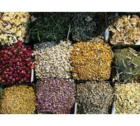 Herbal Sampler: Psychic/spirituality Herbs