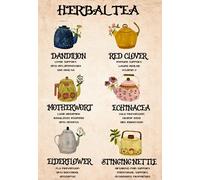 Herbal Tea Kitchen Witchery Witches Witches Magic Magic Lover Gift Witch Herbal Tea Witch Teas Retro Metal Tin Sign 8X12 Inches