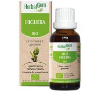 HerbalGem Gemmotherapy Fig Tree 15ml Bio