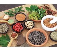 Herbalism and Herbal Medicines
