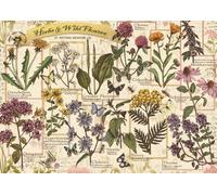 Herbarium: Medicinal Herbs
