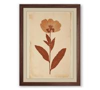 Herbarium Specimen Botanical Framed Wall Art Print A1 (84.1×59.4cm) Walnut, Wall Decor for Living Room, Bedroom, Office & Home, Ready to Hang, Art Gift