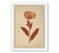 Herbarium Specimen Botanical Framed Wall Art Print A1 (84.1×59.4cm) White, Wall Decor for Living Room, Bedroom, Office & Home, Ready to Hang, Art Gift