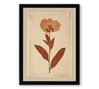 Herbarium Specimen Botanical Framed Wall Art Print A4 (29.7×21cm) Black, Wall Decor for Living Room, Bedroom, Office & Home, Ready to Hang, Art Gift