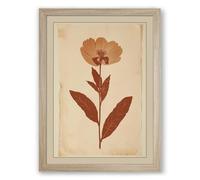 Herbarium Specimen Botanical Framed Wall Art Print A4 (29.7×21cm) Oak, Wall Decor for Living Room, Bedroom, Office & Home, Ready to Hang, Art Gift