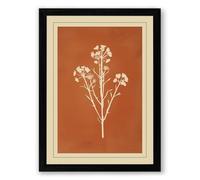 Herbarium Study Botanical Framed Wall Art Print A2 (59.4×42cm) Black, Wall Decor for Living Room, Bedroom, Office & Home, Ready to Hang, Art Gift