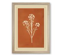 Herbarium Study Botanical Framed Wall Art Print A4 (29.7×21cm) Oak, Wall Decor for Living Room, Bedroom, Office & Home, Ready to Hang, Art Gift