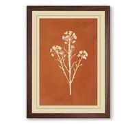 Herbarium Study Botanical Framed Wall Art Print A4 (29.7×21cm) Walnut, Wall Decor for Living Room, Bedroom, Office & Home, Ready to Hang, Art Gift
