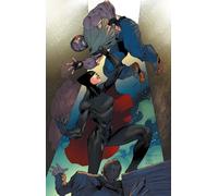 Herbert, Jackson - Miss Fury Volume 2: Walk Through the Valley (MISS FURY TP)