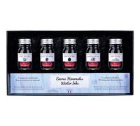 Herbin 18504T - Set of 5 bottles of 10ml for fountain pens and roller pens, assorted winter colours