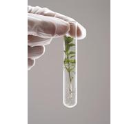 HERBS FROM THE GREAT WATER SOURCE: Herbs in Urology - Genitals - Pelvic Floor - Lower Digestive System