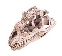 HERCHR dinosaur bones, dinosaur skeletons, Resin Dinosaurs Skull Model Simulated Animal Skeleton Home Office Decor Craft Teaching Prop,7.09x2.76x4.13in