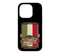 Herculaneum Italy Flag Ancient Ruins Mount Vesuvius Vintage Case for iPhone 14 Pro