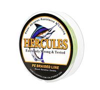 Hercules Super Cast 300M 328 Yards Braided Fishing Line 40 LB Test for Saltwater Freshwater PE Braid Fish Lines Superline 8 Strands - Army Green, 40LB (18.1KG), 0.32MM