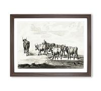 Herd Of Bulls By Jean Bernard Vintage Framed Print | A4 Walnut Framed Wall Art | Ready to Hang | Classic Nature Picture | Living Room Bedroom Lounge Office