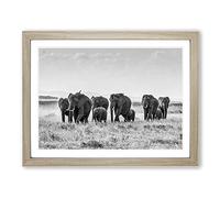 Herd of Elephants No.1 Modern Framed Print | A3 Oak Framed Wall Art | Ready to Hang | Modern Animal Picture | Living Room Bedroom Lounge Office