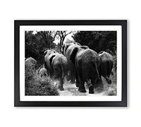 Herd of Elephants No.2 Modern Framed Print | A2 Black Framed Wall Art | Ready to Hang | Modern Animal Picture | Living Room Bedroom Lounge Office