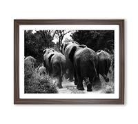 Herd of Elephants No.2 Modern Framed Print | A4 Walnut Framed Wall Art | Ready to Hang | Modern Animal Picture | Living Room Bedroom Lounge Office