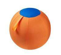 Herding Ball for Dogs 17.7inch Giant Herding Inflatable Training Pet