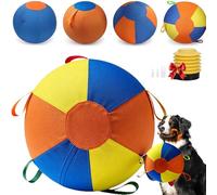 Herding Ball for Dogs, 18 Inch Inflatable Dog Training Toy with Tear-Resistant Cover, Large Exercise Ball with Pump and Handle, Outdoor Chase Play for Australian Shepherd Border Collie (D,22inch)