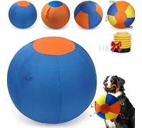Herding Ball for Dogs, 18 Inch Inflatable Dog Training Toy with Tear-Resistant Cover, Large Exercise Ball with Pump and Handle, Outdoor Chase Play for Australian Shepherd Border Collie (A,22inch)