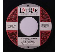 here comes summer / if you don't care 45 rpm single